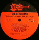 Big Joe Williams - Thinking Of What They Did To Me (occasion/used vinyl)