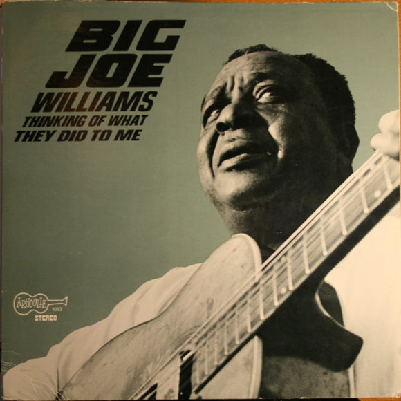 Big Joe Williams - Thinking Of What They Did To Me (occasion/used vinyl)
